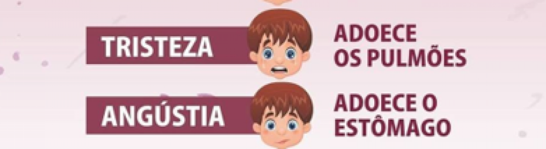 Suas emoções: Suas Enfermidades